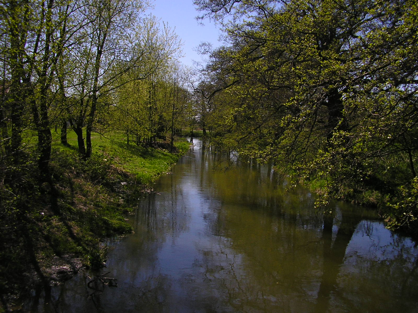 Bystrzyca