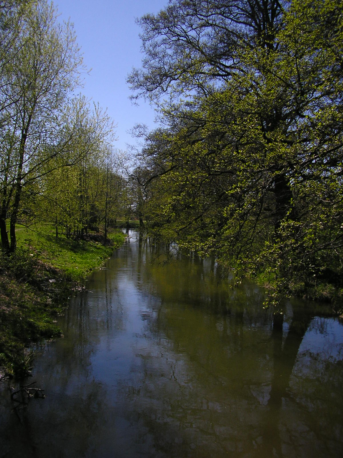 Bystrzyca