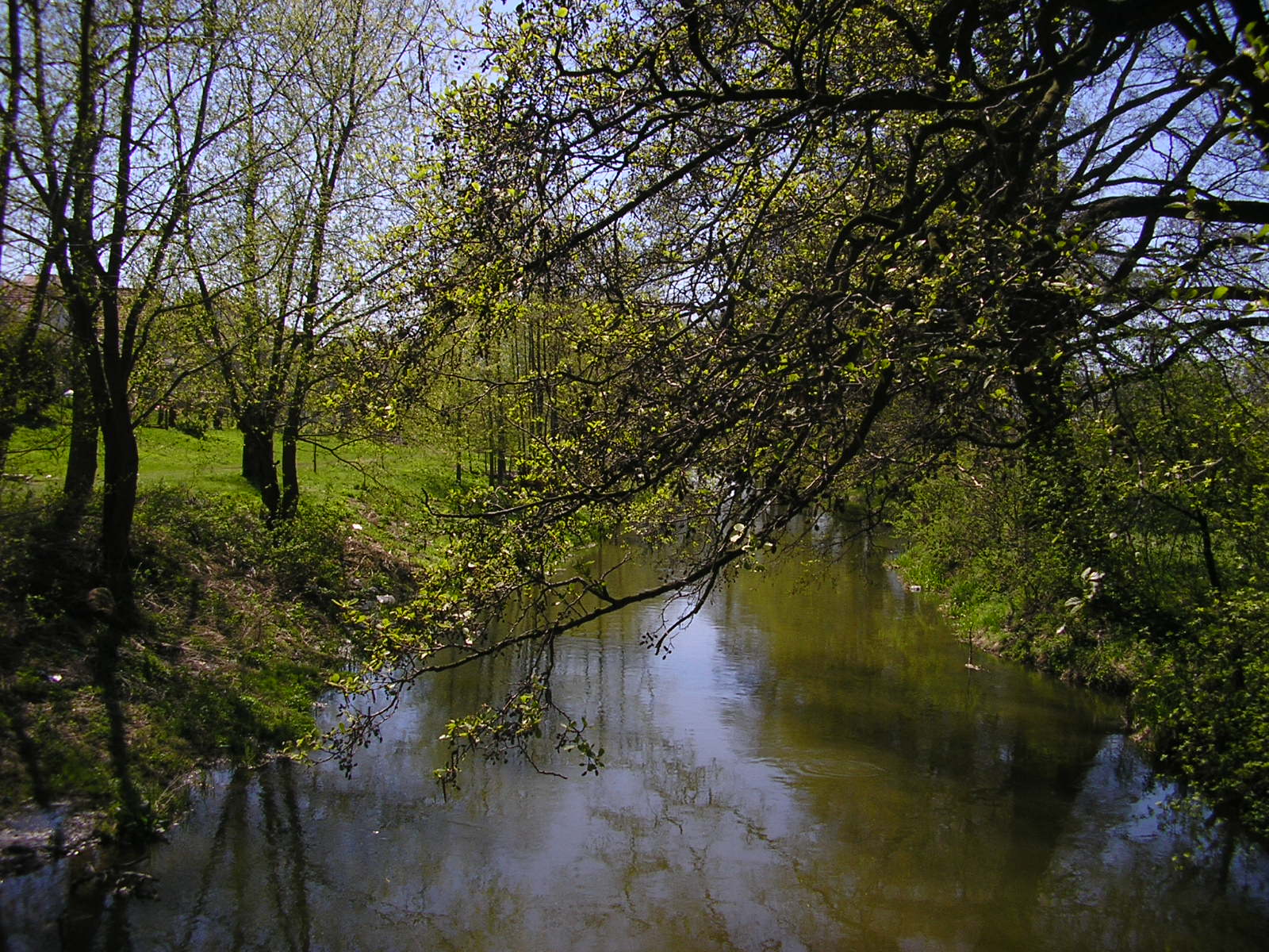 Bystrzyca