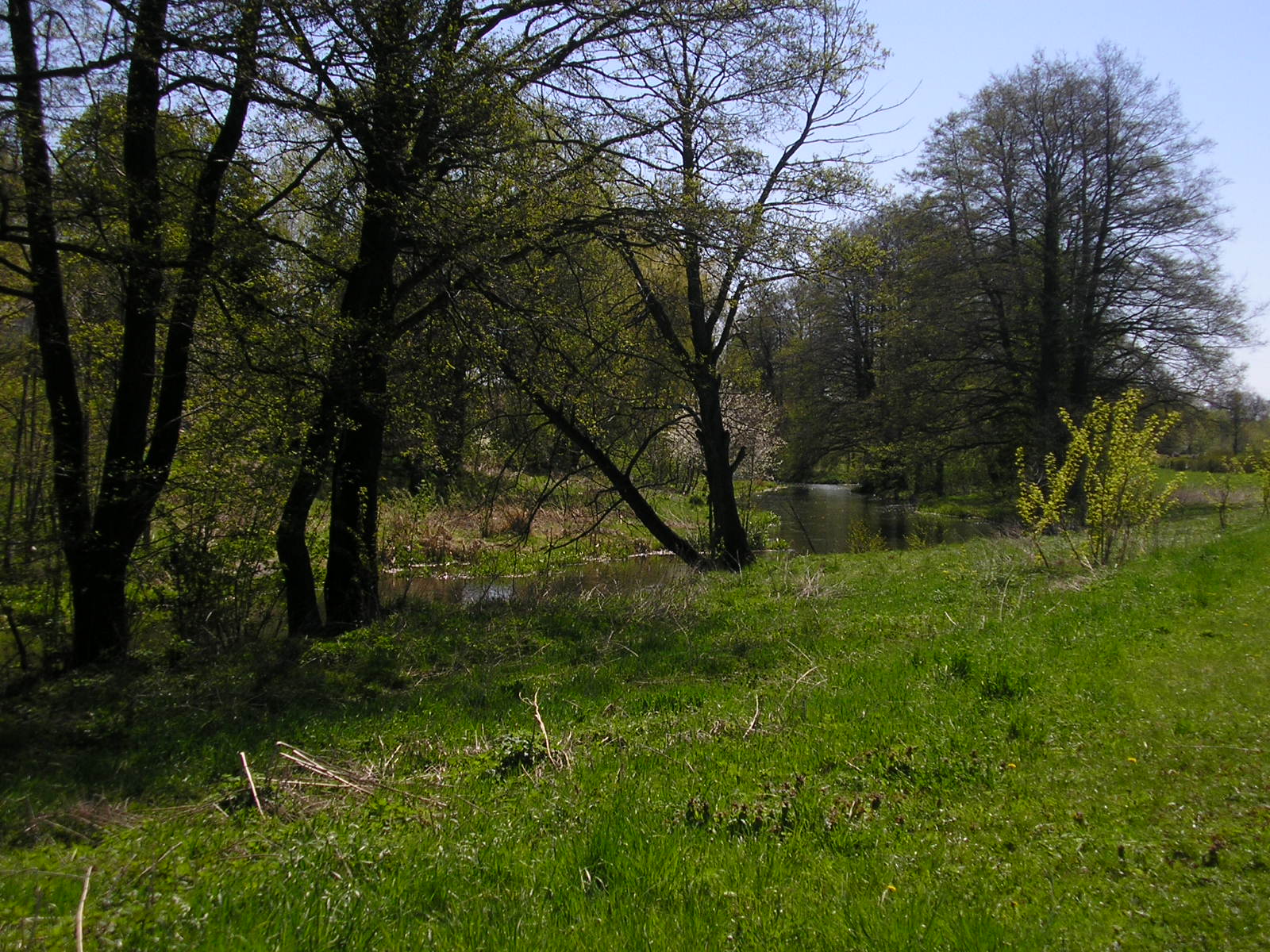 Bystrzyca