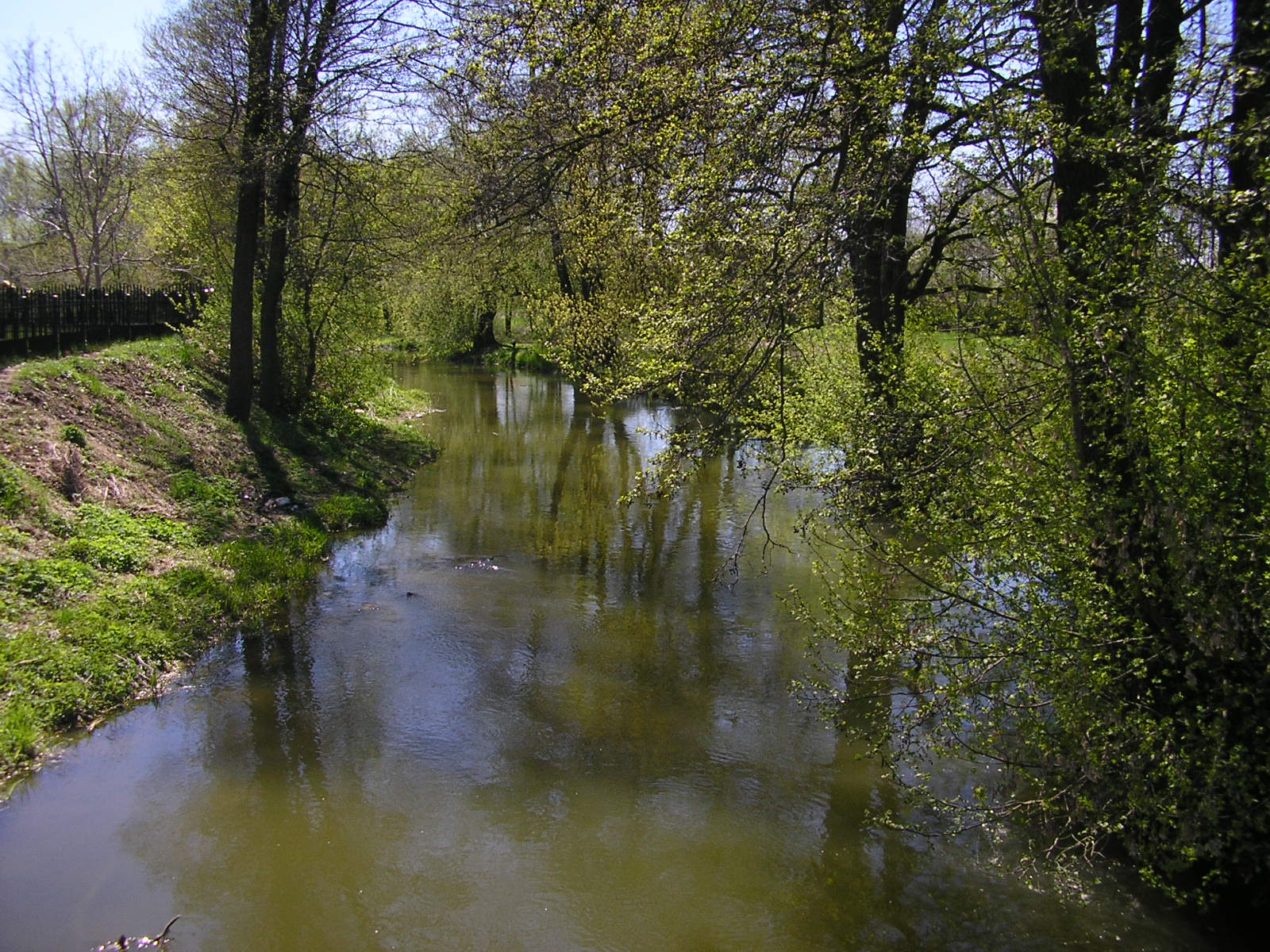 Bystrzyca