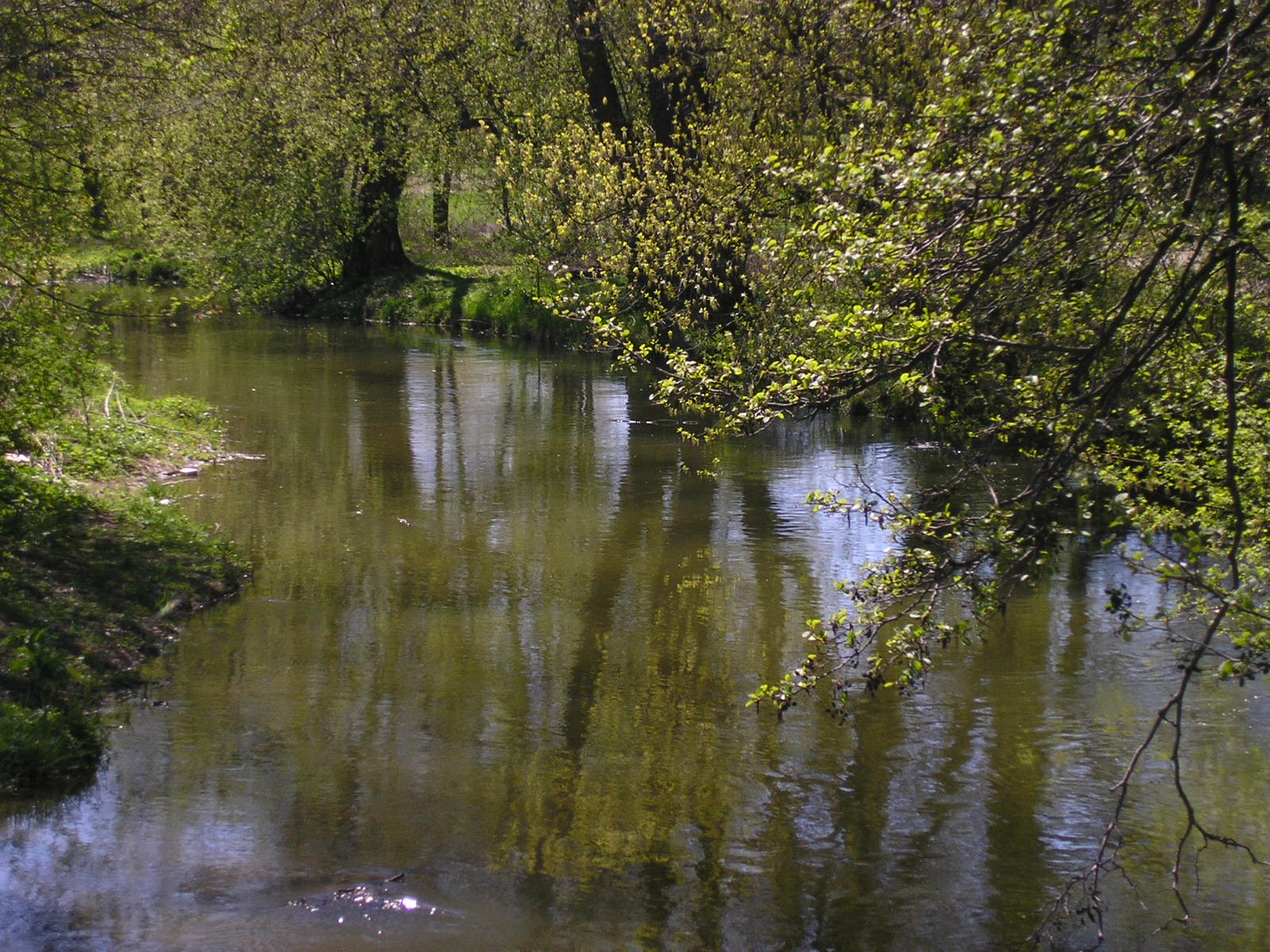 Bystrzyca