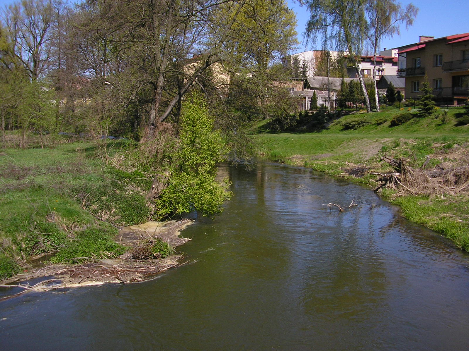 Bystrzyca