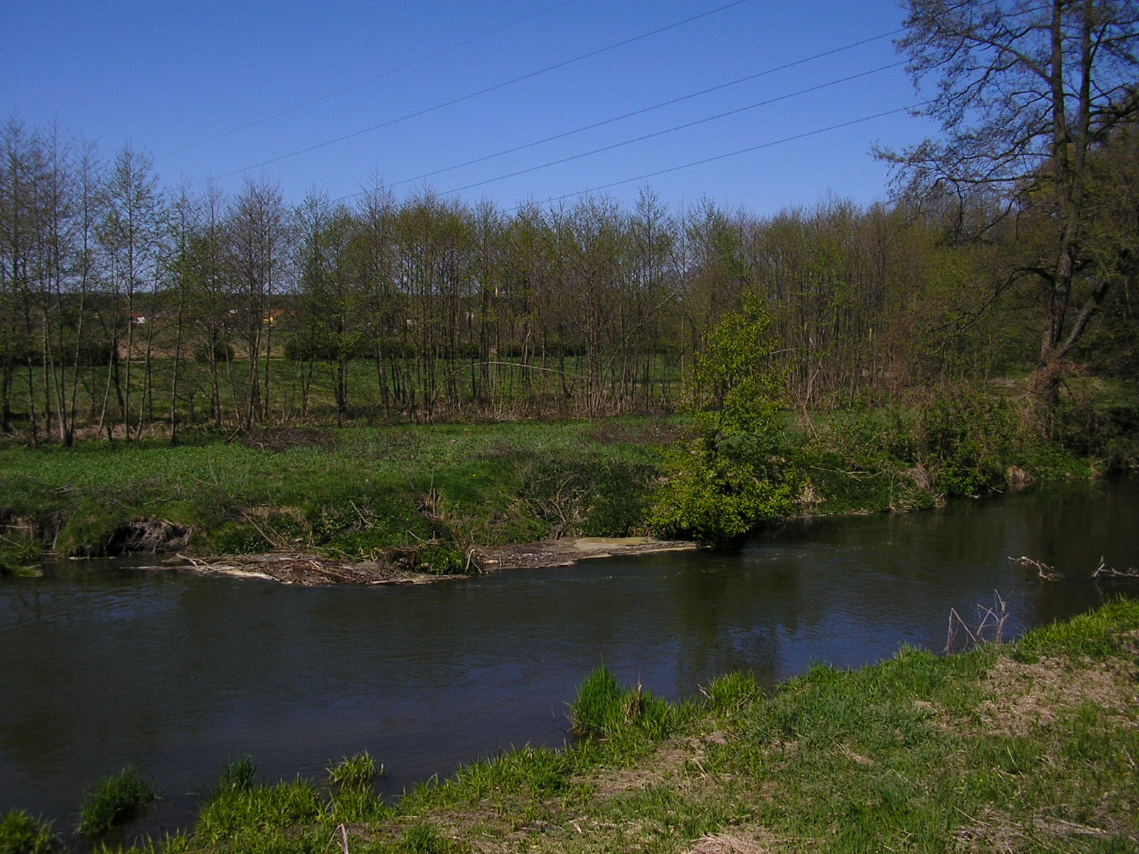 Bystrzyca
