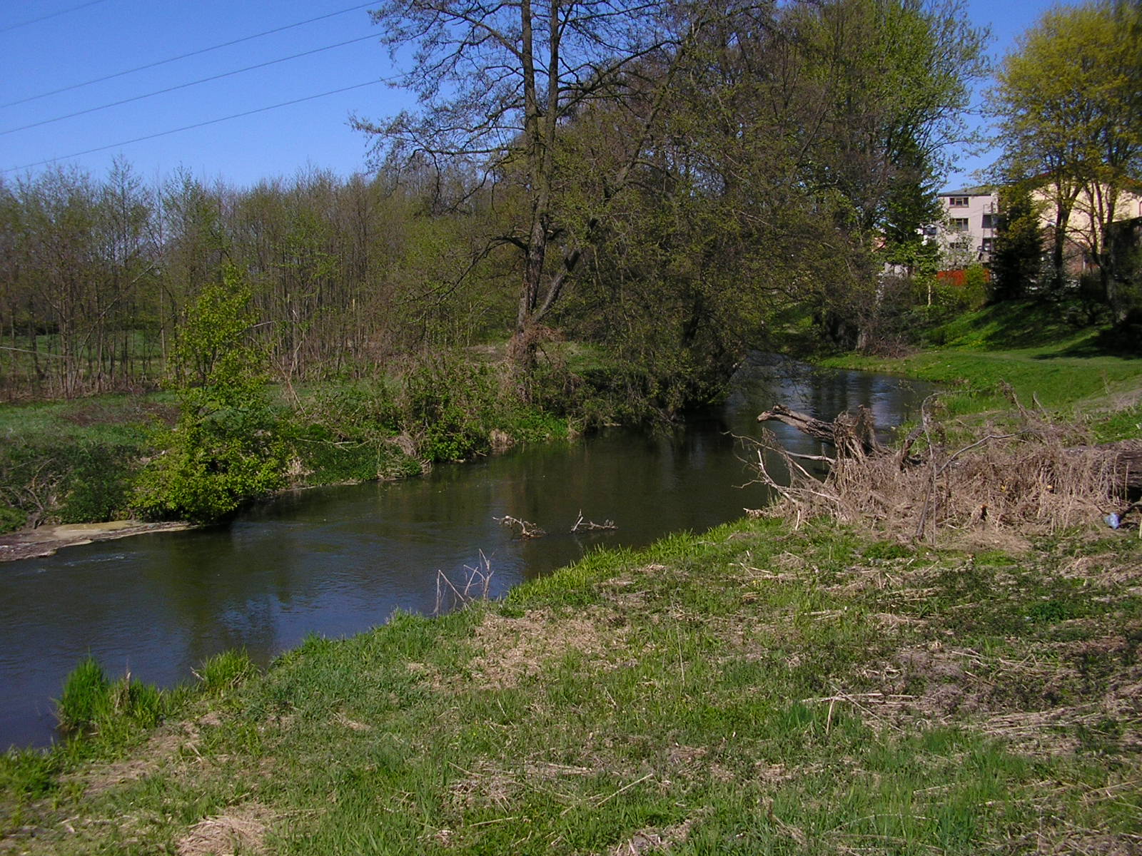 Bystrzyca