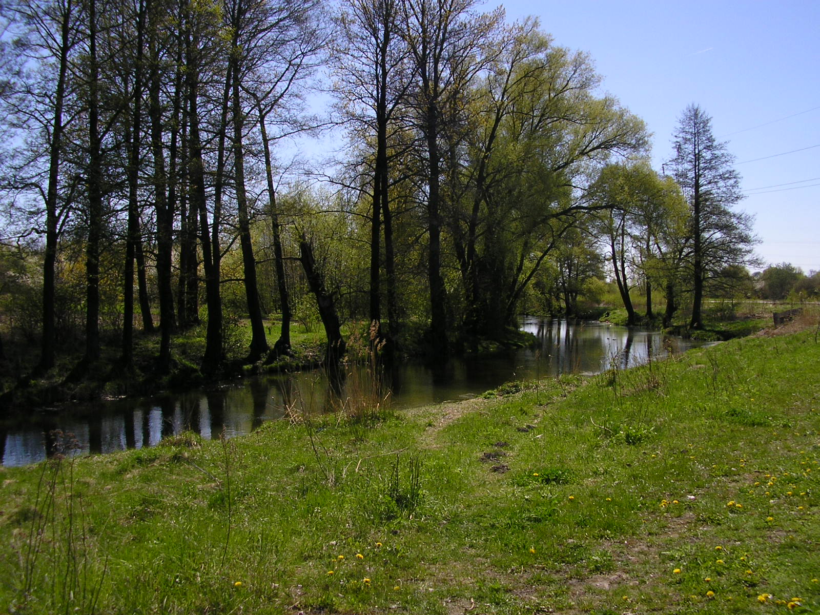 Bystrzyca