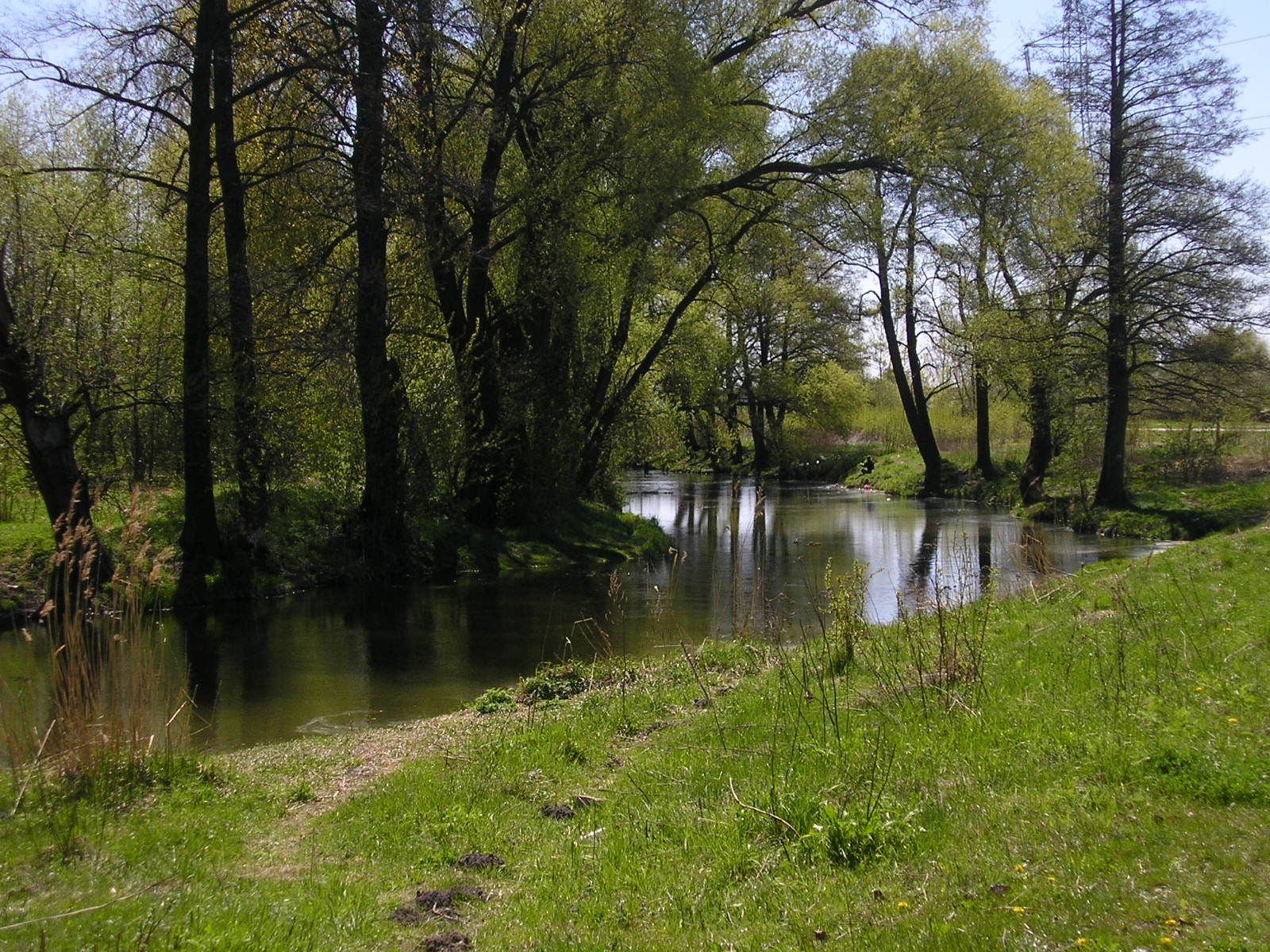 Bystrzyca