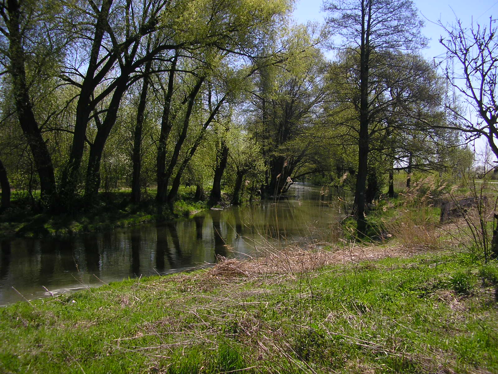 Bystrzyca