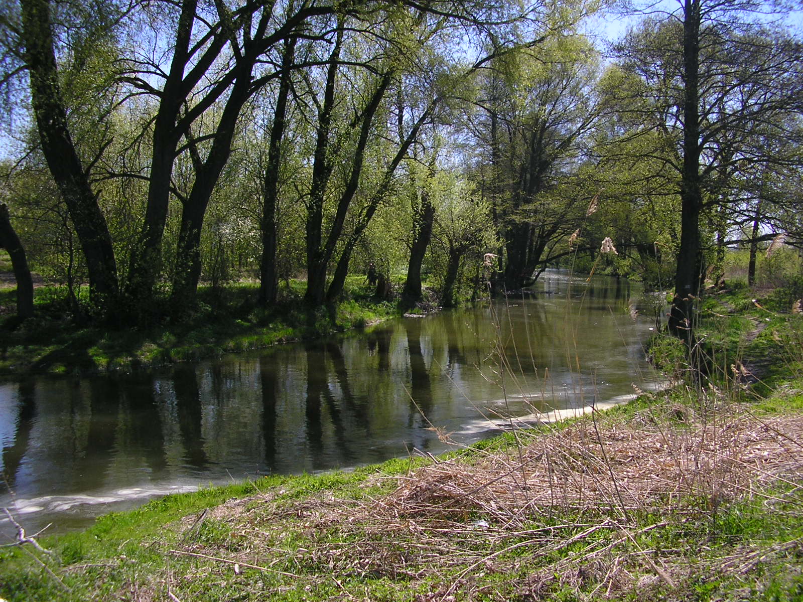 Bystrzyca