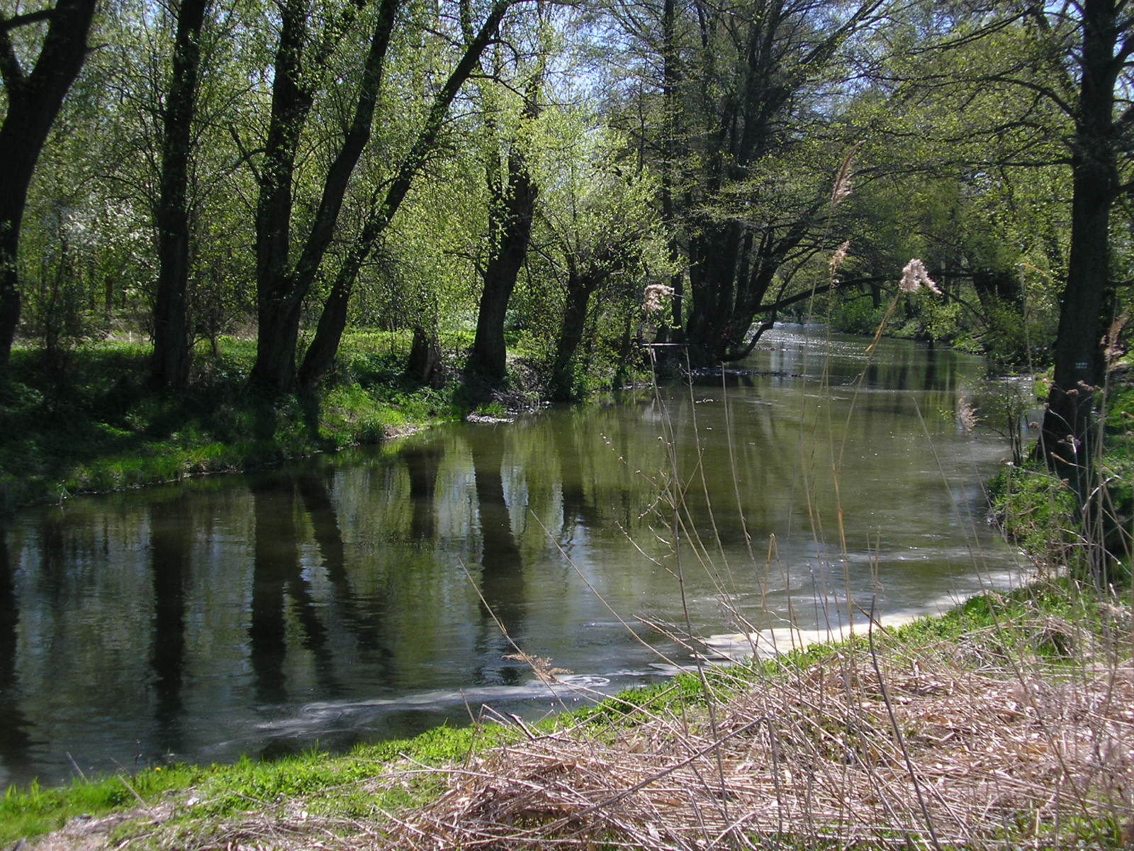 Bystrzyca