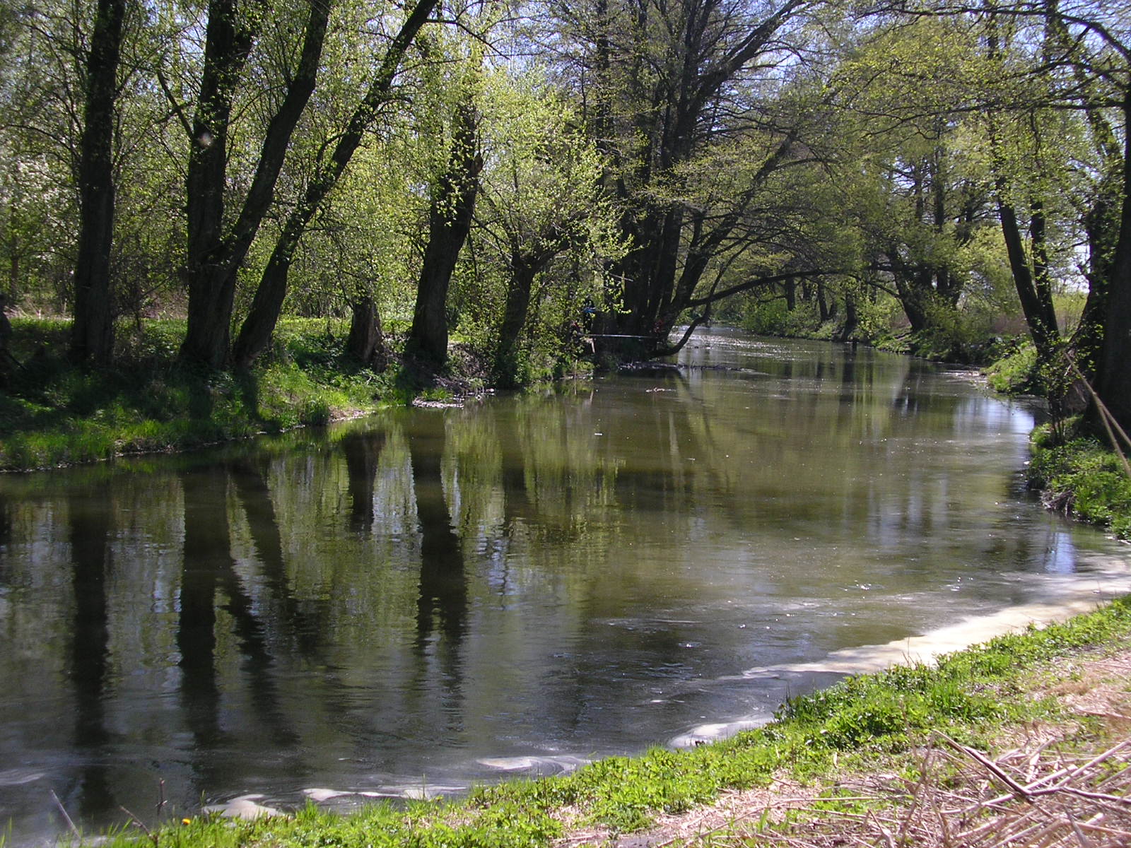 Bystrzyca