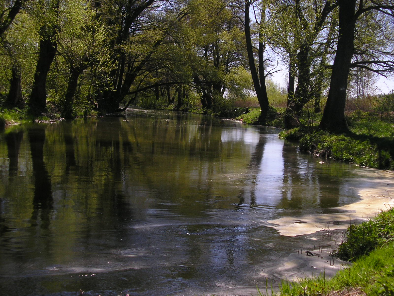 Bystrzyca