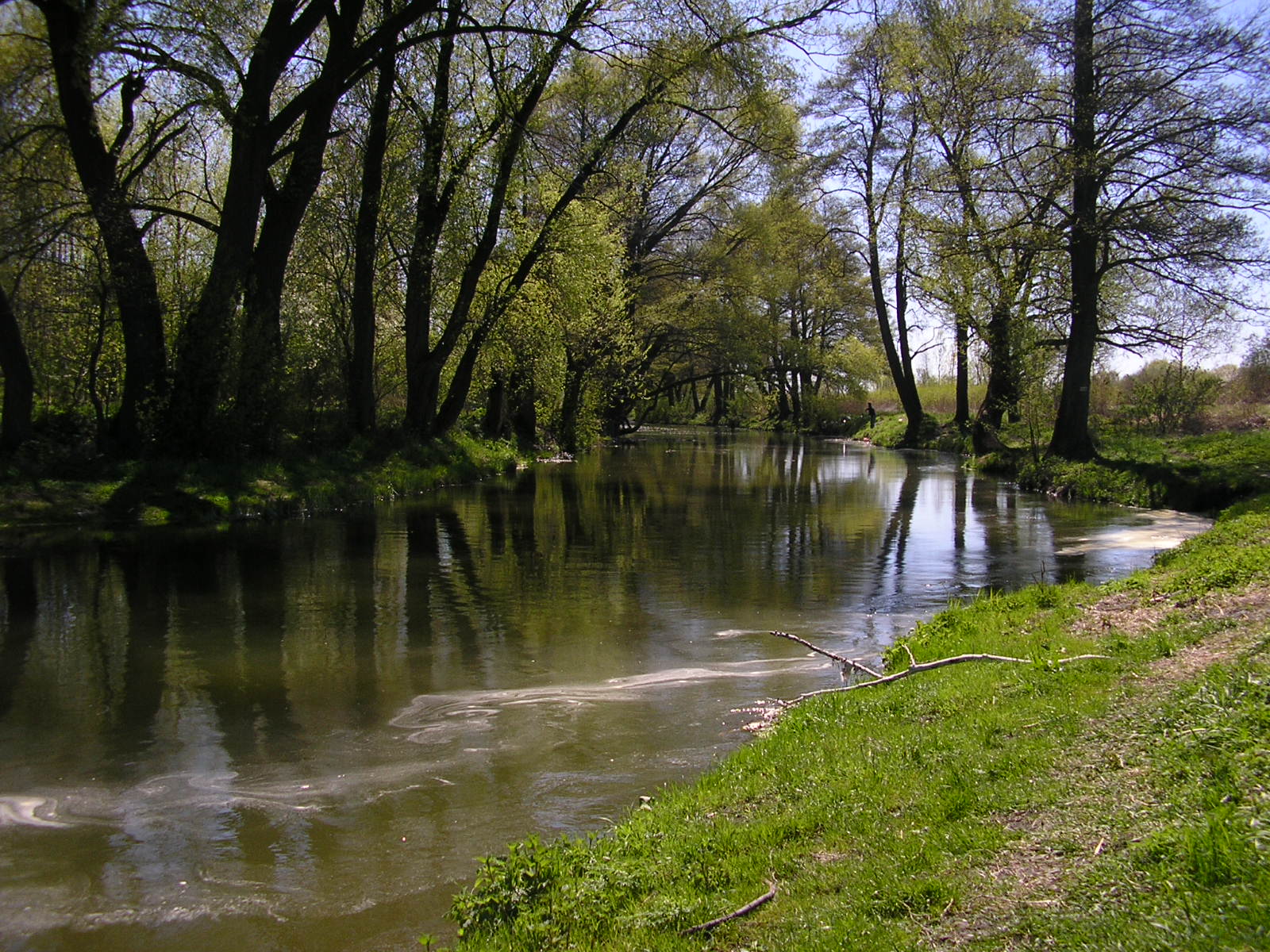 Bystrzyca