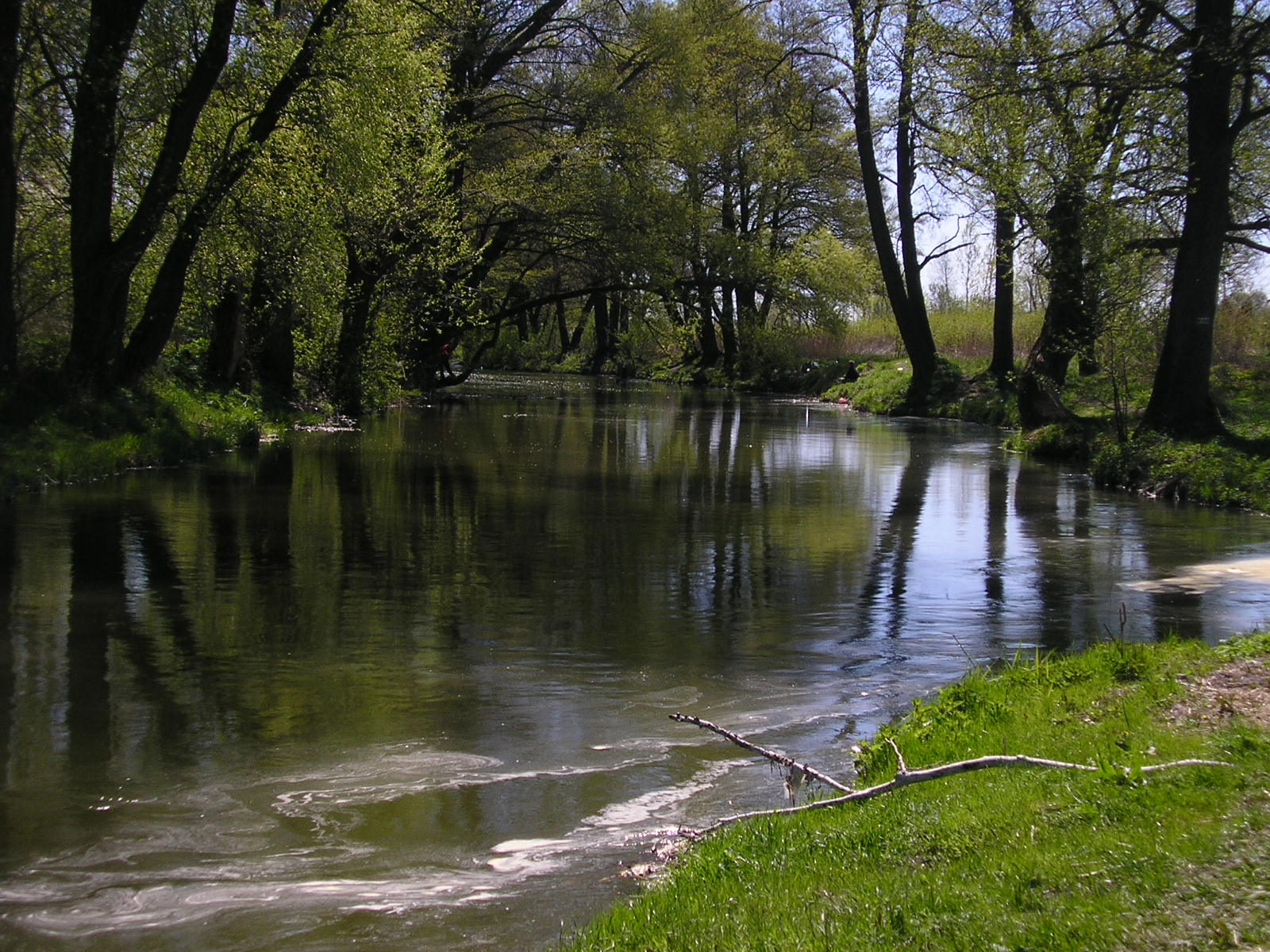 Bystrzyca