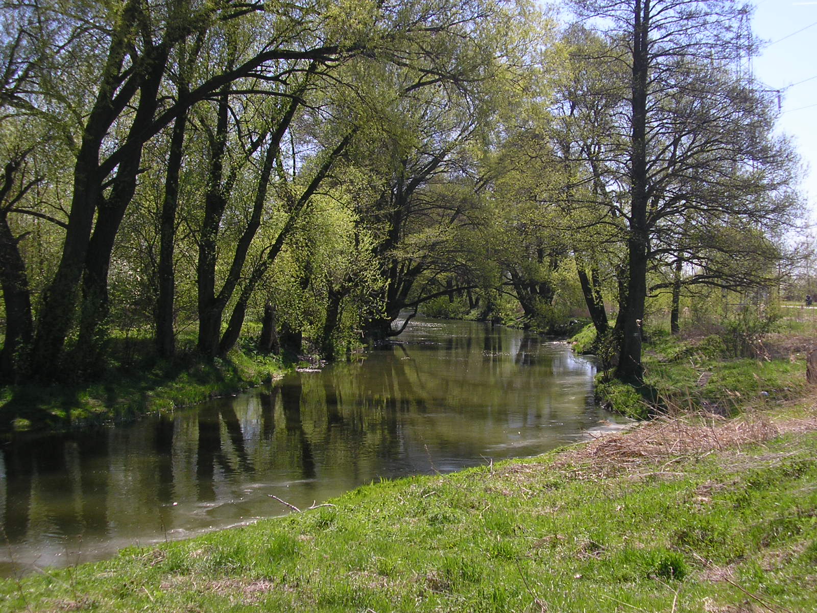 Bystrzyca