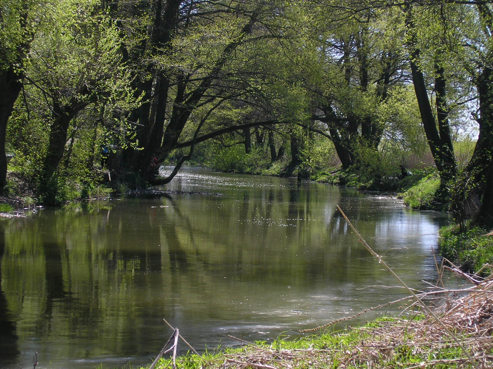 Bystrzyca.