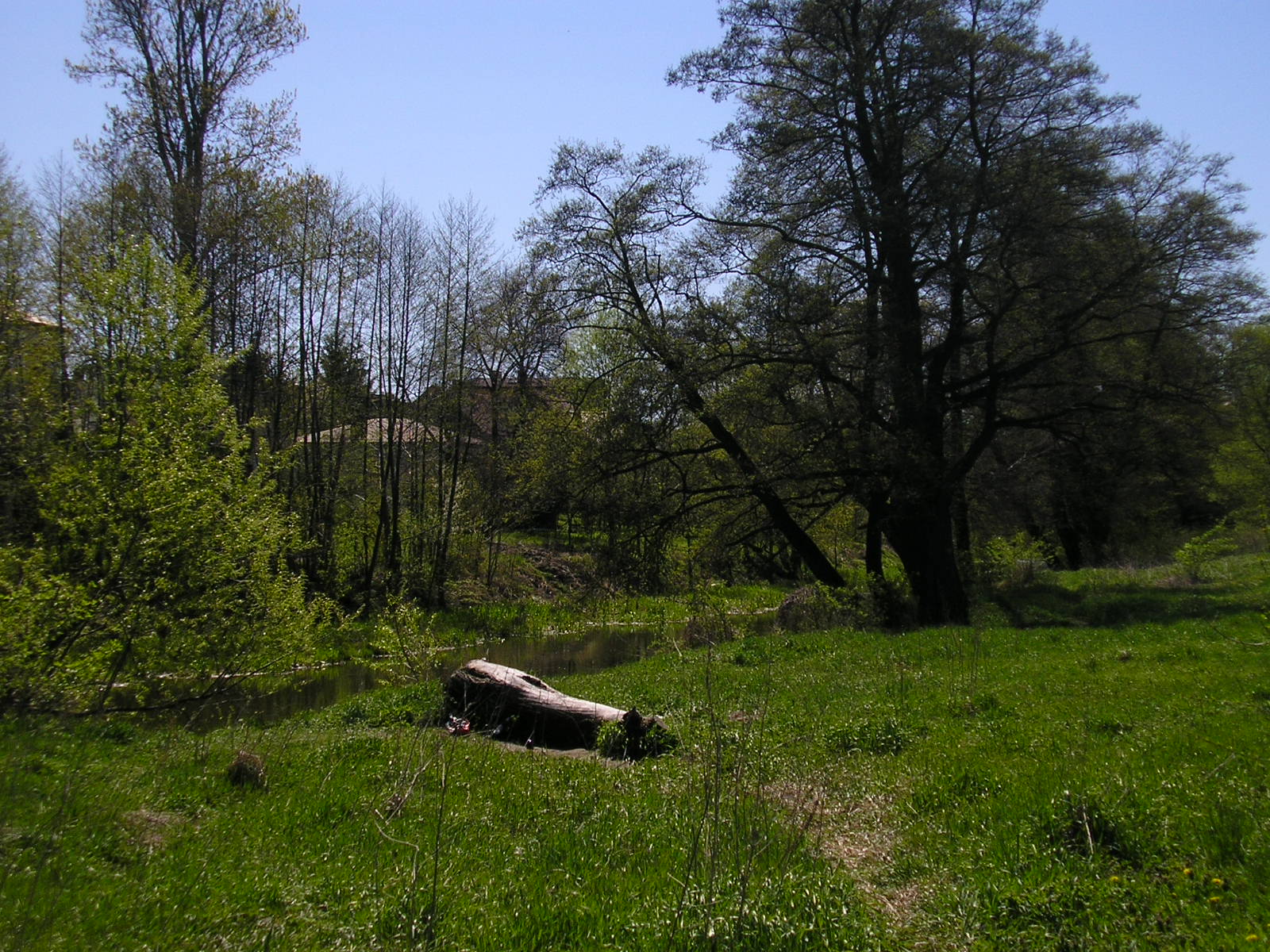 Bystrzyca
