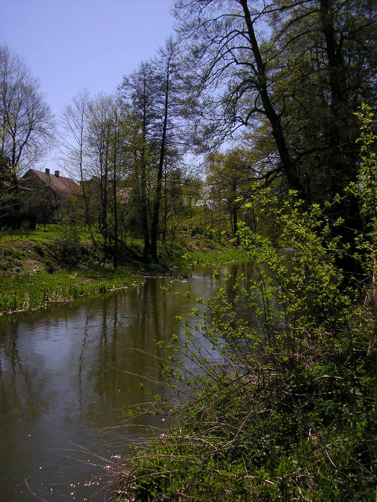Bystrzyca