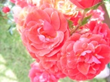 Lato 2011r.