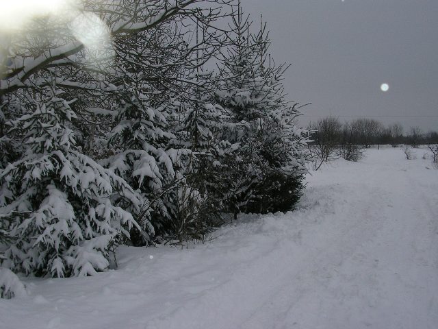 Działka w śniegu.