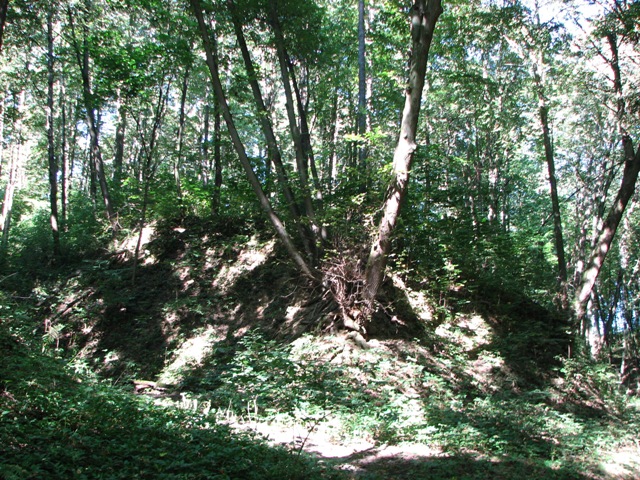 Wąwozy.
