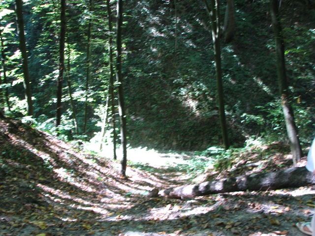 Wąwozy.
