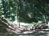 Naleczow.