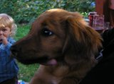 Lato 2009 - Mika.