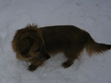 Zima 2010 - Mika.