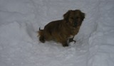 Zima 2010 - Mika.