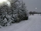 Działka w śniegu.