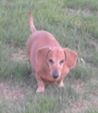 Zima 2010 - Zuzka.